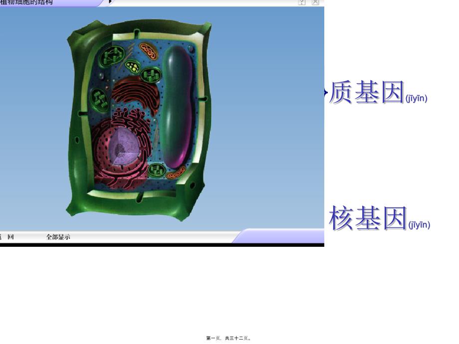 医学专题—细胞质遗传和细胞核遗传28396_第1页