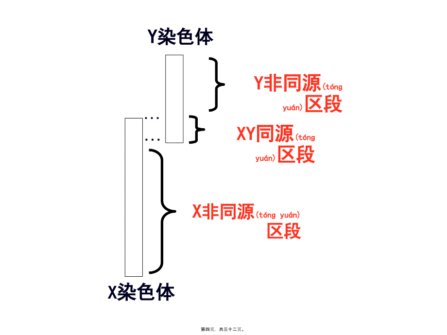 医学专题—细胞质遗传和细胞核遗传28396_第4页