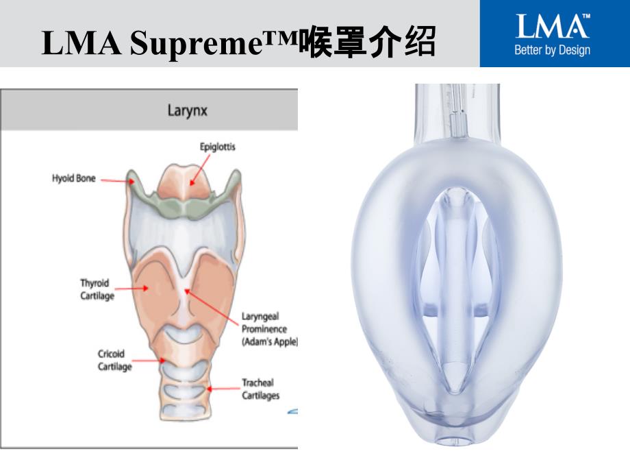 LMASuprememodified_第4页