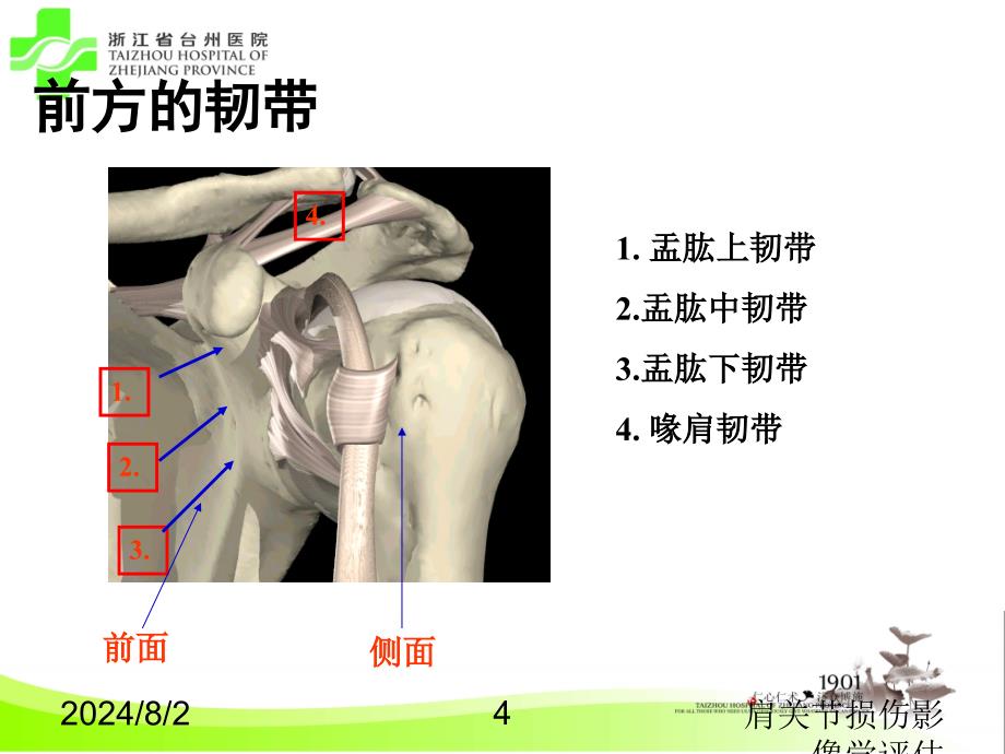 肩关节损伤影像学评估课件_第4页