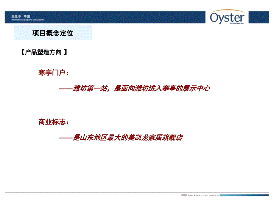 潍坊红星美凯龙商业项目策略案【优选资料】_第3页