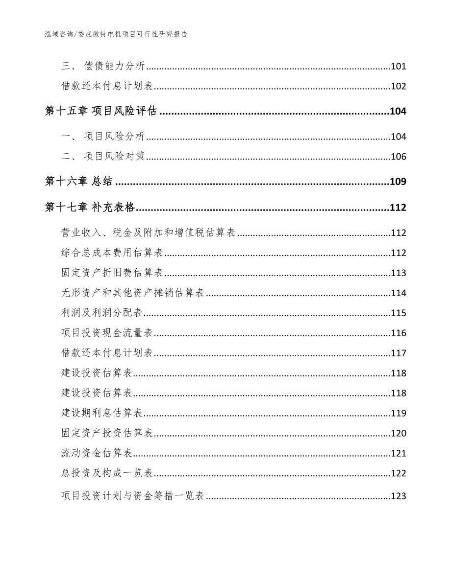 娄底微特电机项目可行性研究报告【参考模板】_第5页