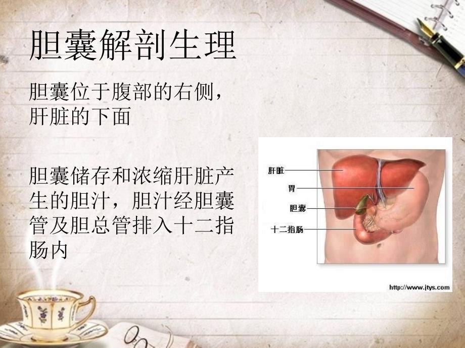 lc术后护理ppt课件_第2页