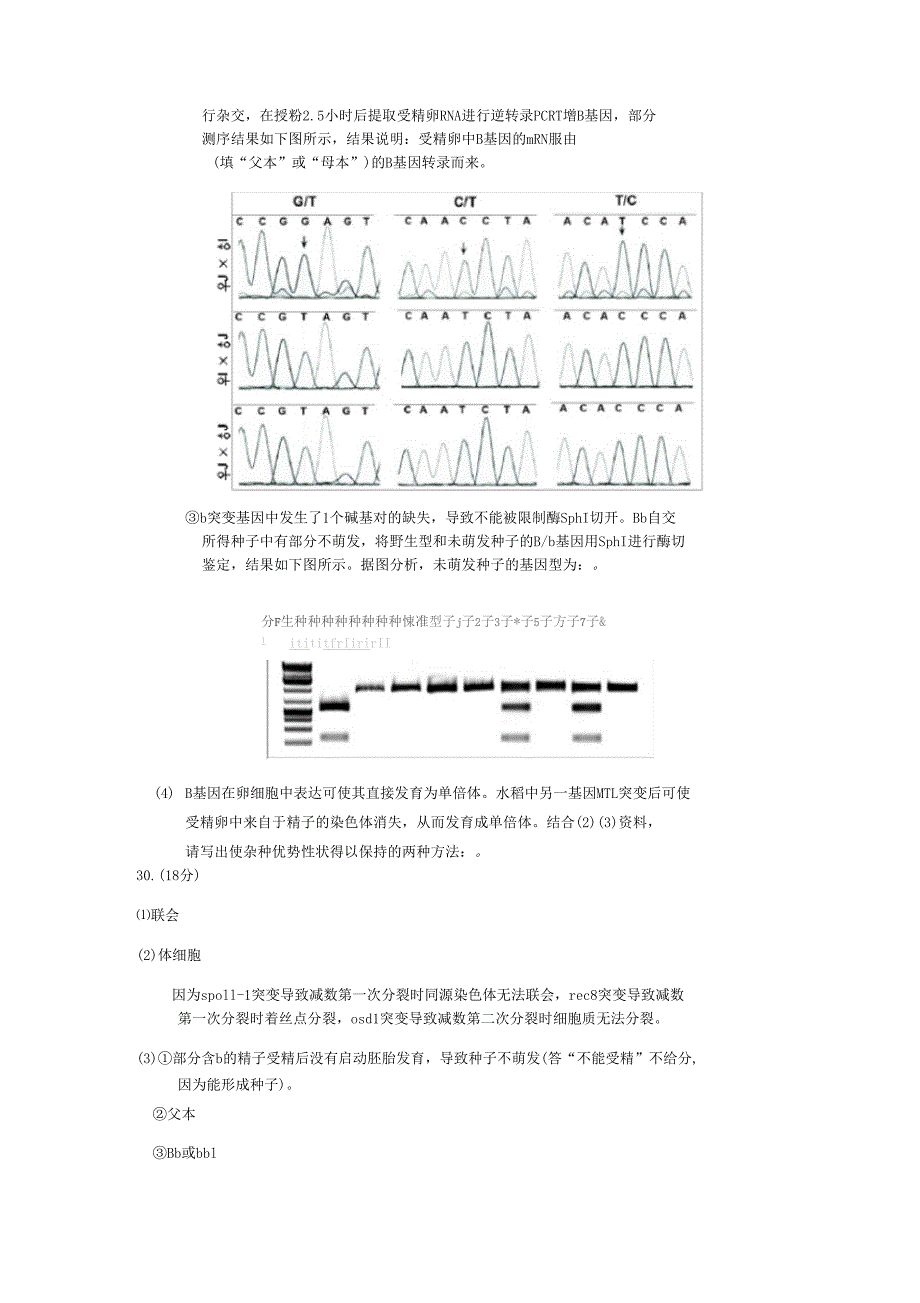 2019高三生物30题汇总_第2页