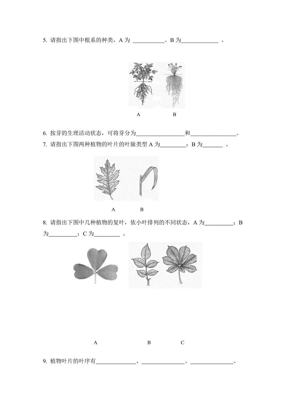 植物与植物生理学各章习题_第2页
