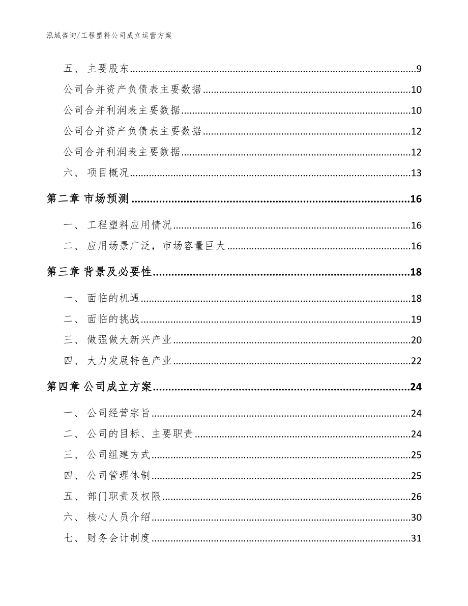 工程塑料公司成立运营方案（范文模板）_第4页