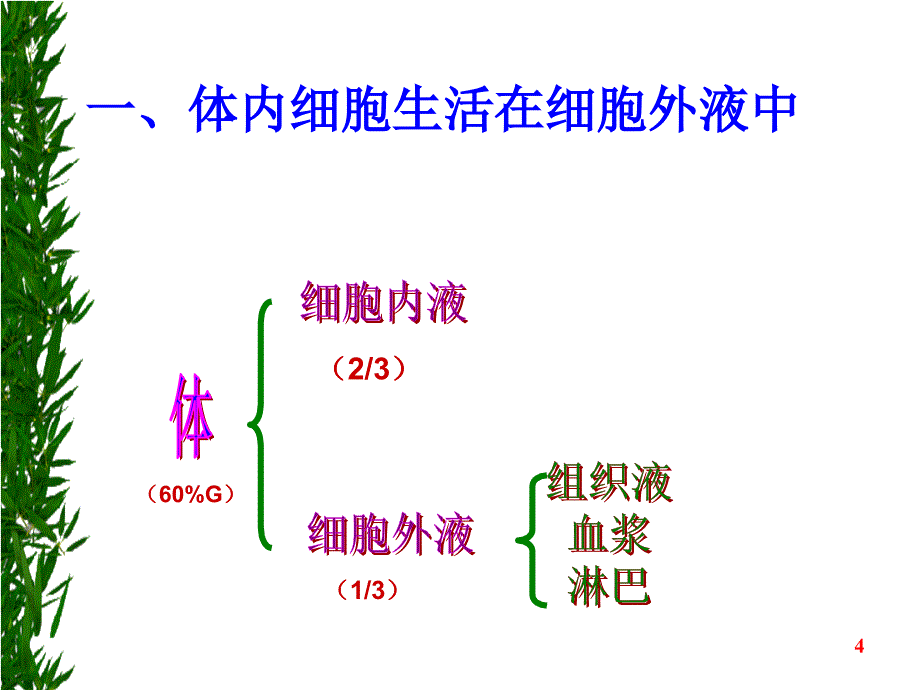 1.1细胞生活的环境课件史仲晟_第4页