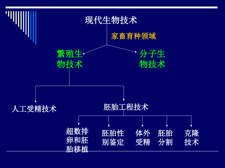 动物胚胎移植技术及体外受精.ppt_第3页