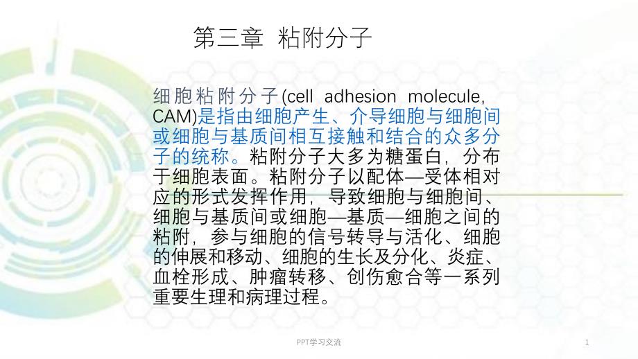 第3章黏附分子课件_第1页