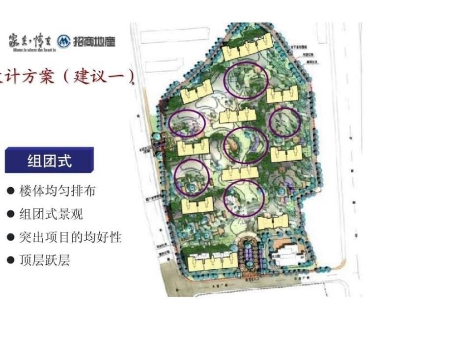 招商地产南京g67项目产品方案建议_第5页