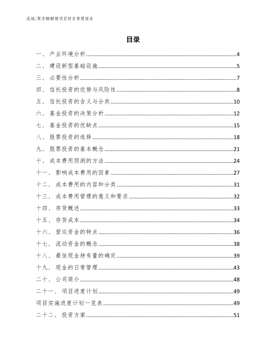 聚芳醚醚腈项目财务管理报告_范文_第2页