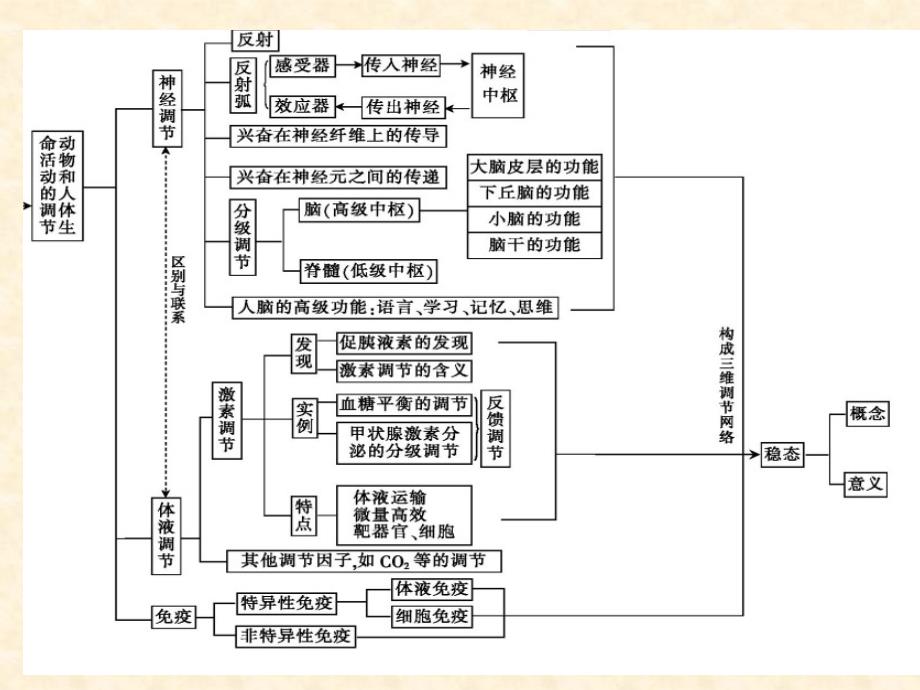 高三生物二轮复习课件第3专题生命活动的调节_第2页