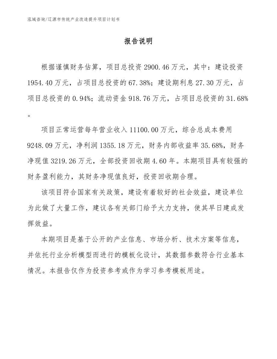 辽源市传统产业改造提升项目计划书_第5页