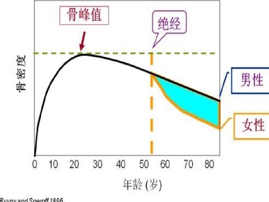 骨质疏松诊治与中医药_第4页