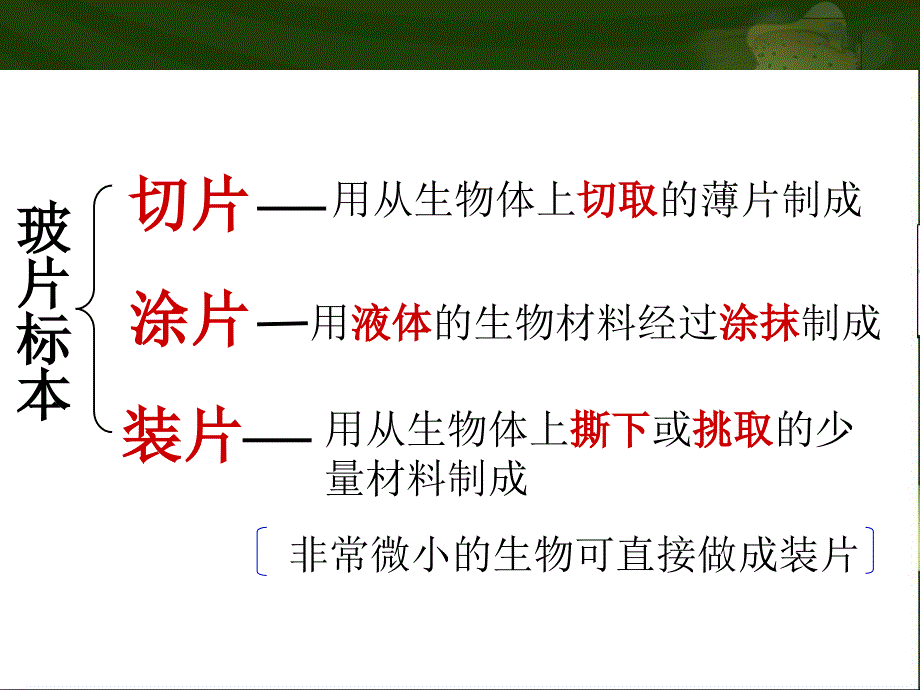 MA第二节、植物细胞.ppt_第2页