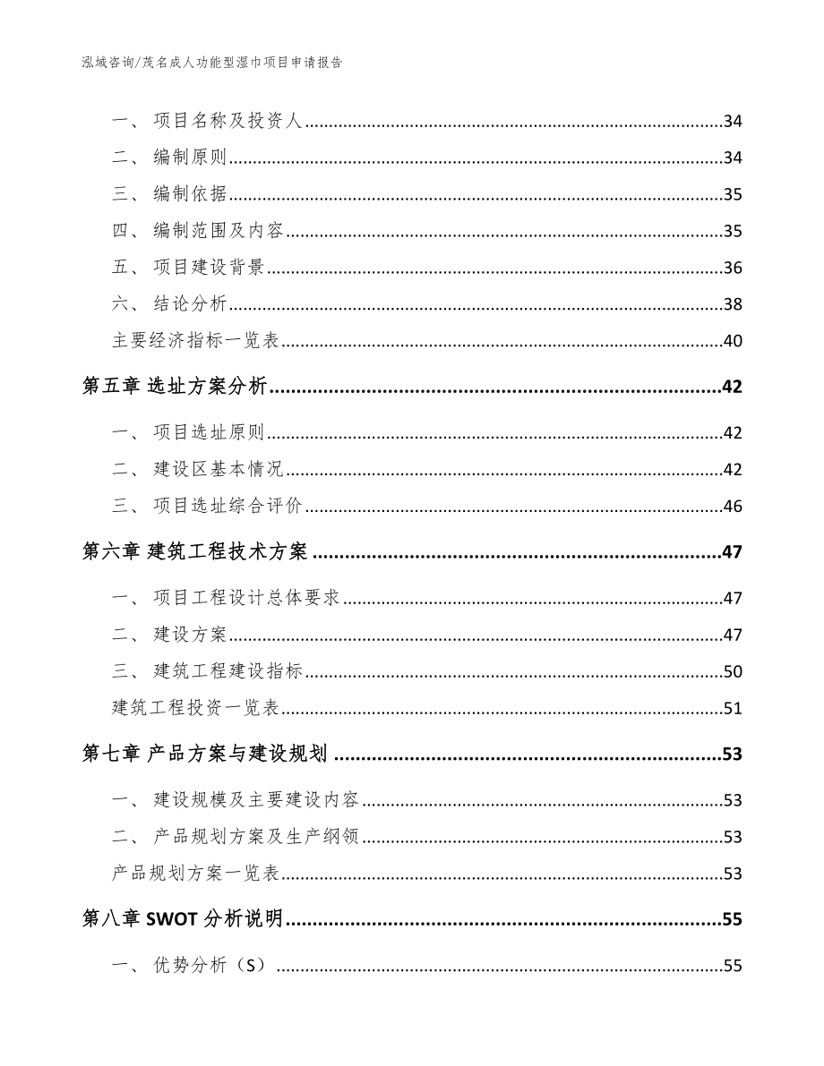 茂名成人功能型湿巾项目申请报告范文_第2页
