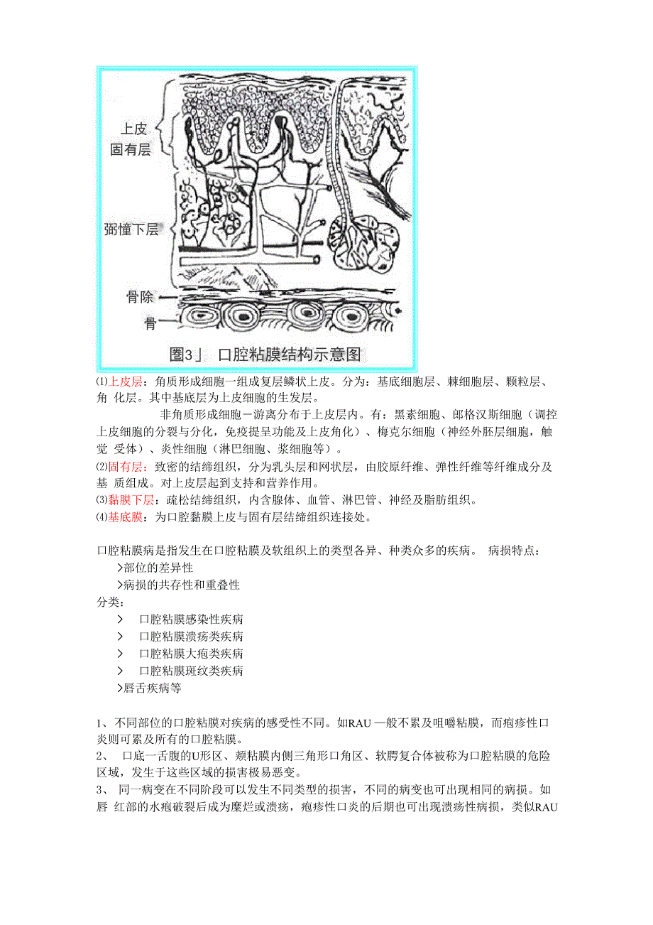 口腔粘膜病讲义_第2页