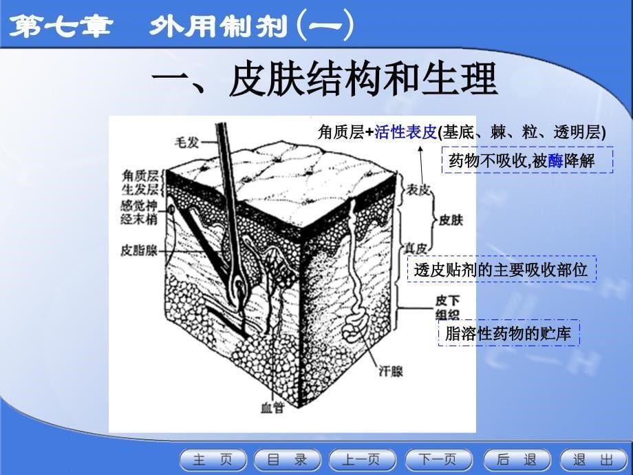 第7章软膏剂._第5页