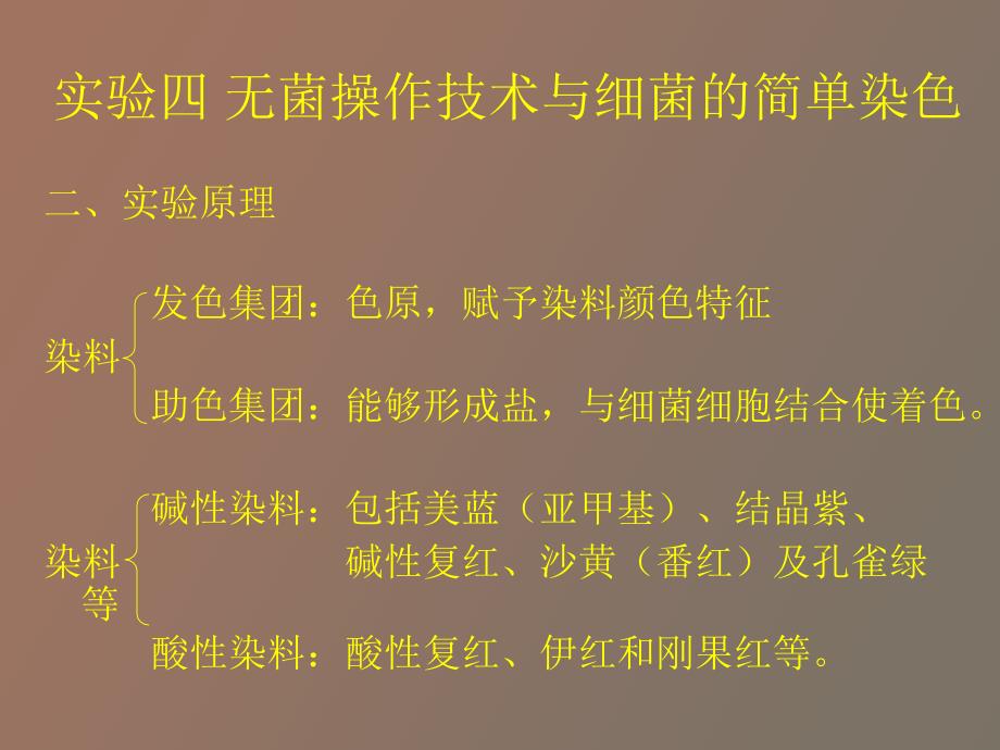 实验四无菌操作技术与细菌的简单染色_第3页