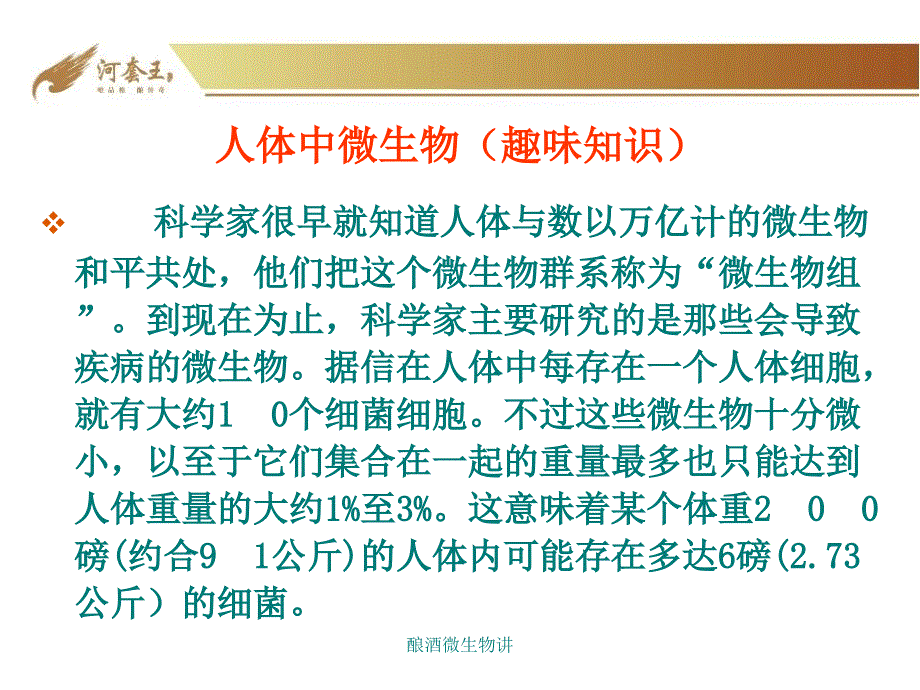 酿酒微生物讲课件_第4页