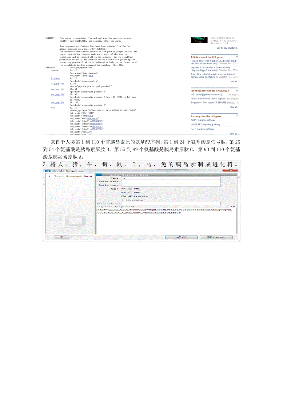 《生物信息学》课程期末报告.docx_第3页