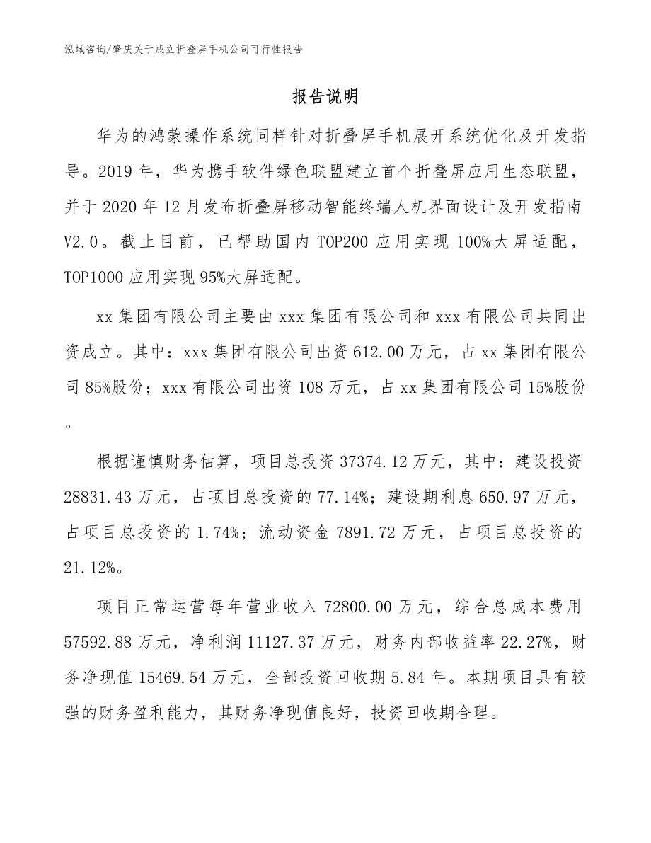 肇庆关于成立折叠屏手机公司可行性报告（参考范文）_第2页