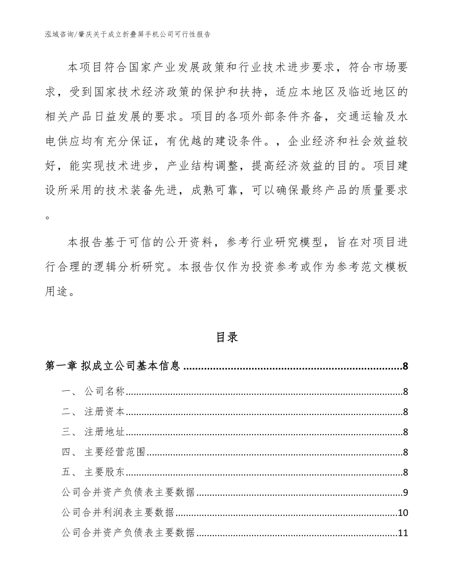 肇庆关于成立折叠屏手机公司可行性报告（参考范文）_第3页
