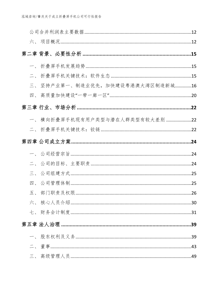 肇庆关于成立折叠屏手机公司可行性报告（参考范文）_第4页
