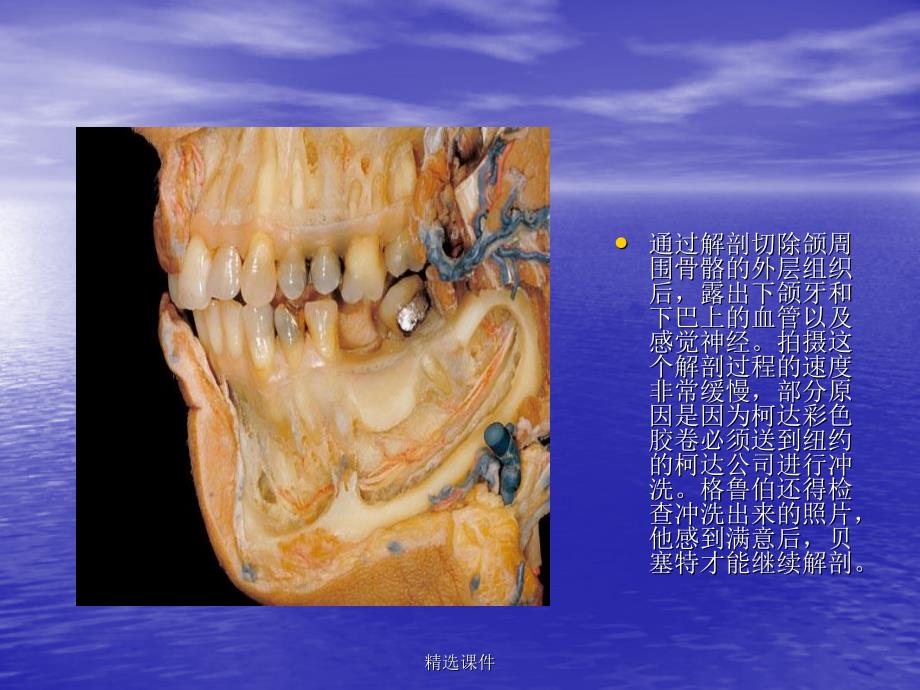 医学知识讲座_第4页