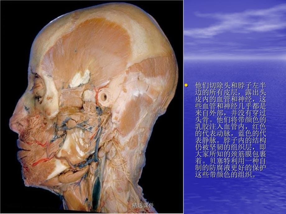 医学知识讲座_第5页