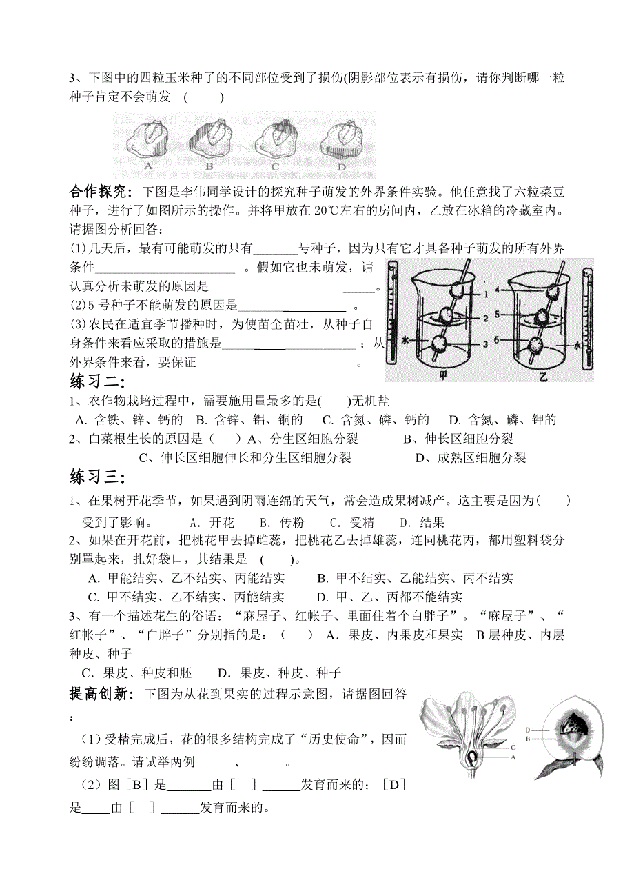 《被子植物的一生》复习教案.doc_第2页