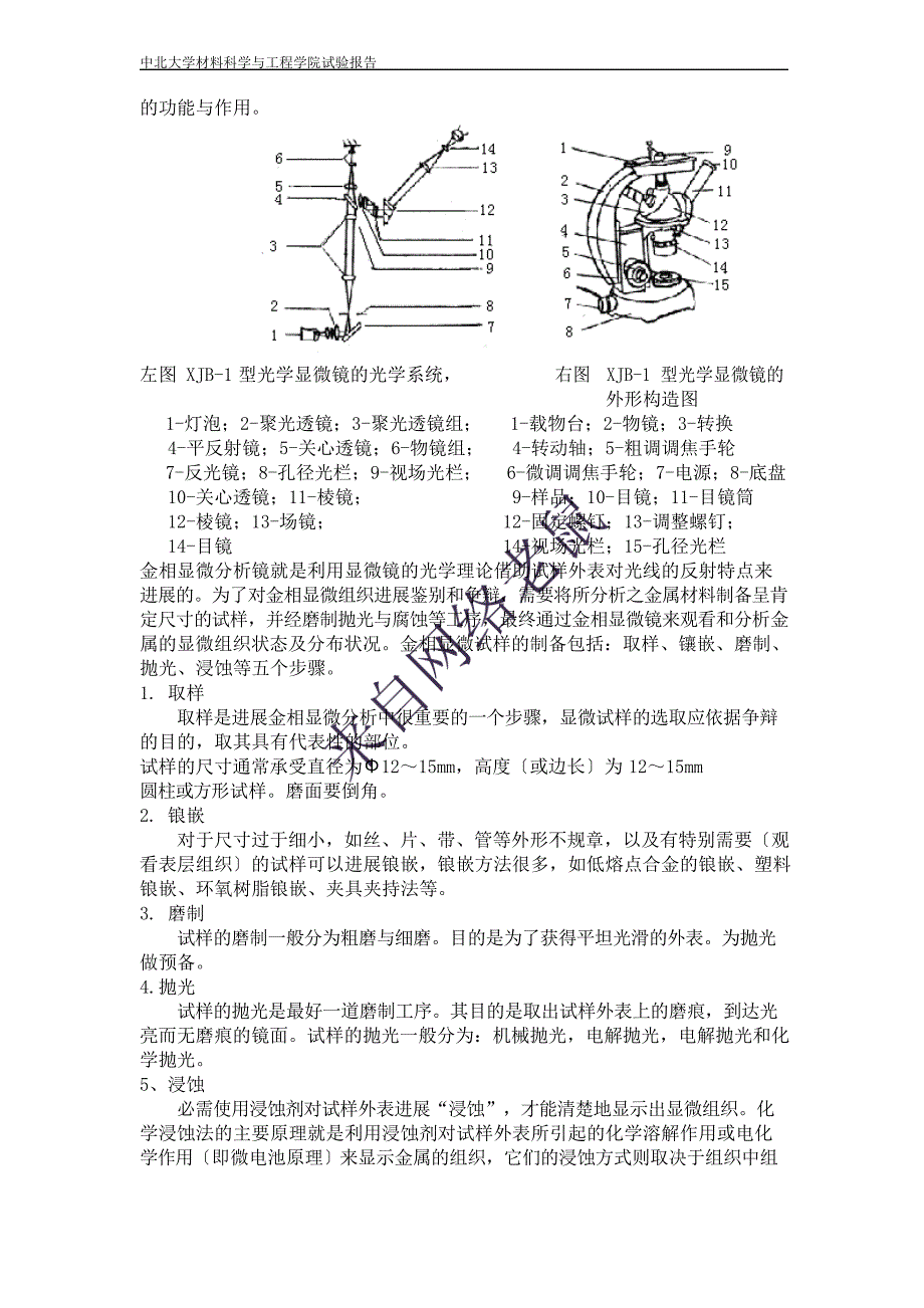 金相试验实验报告_第4页