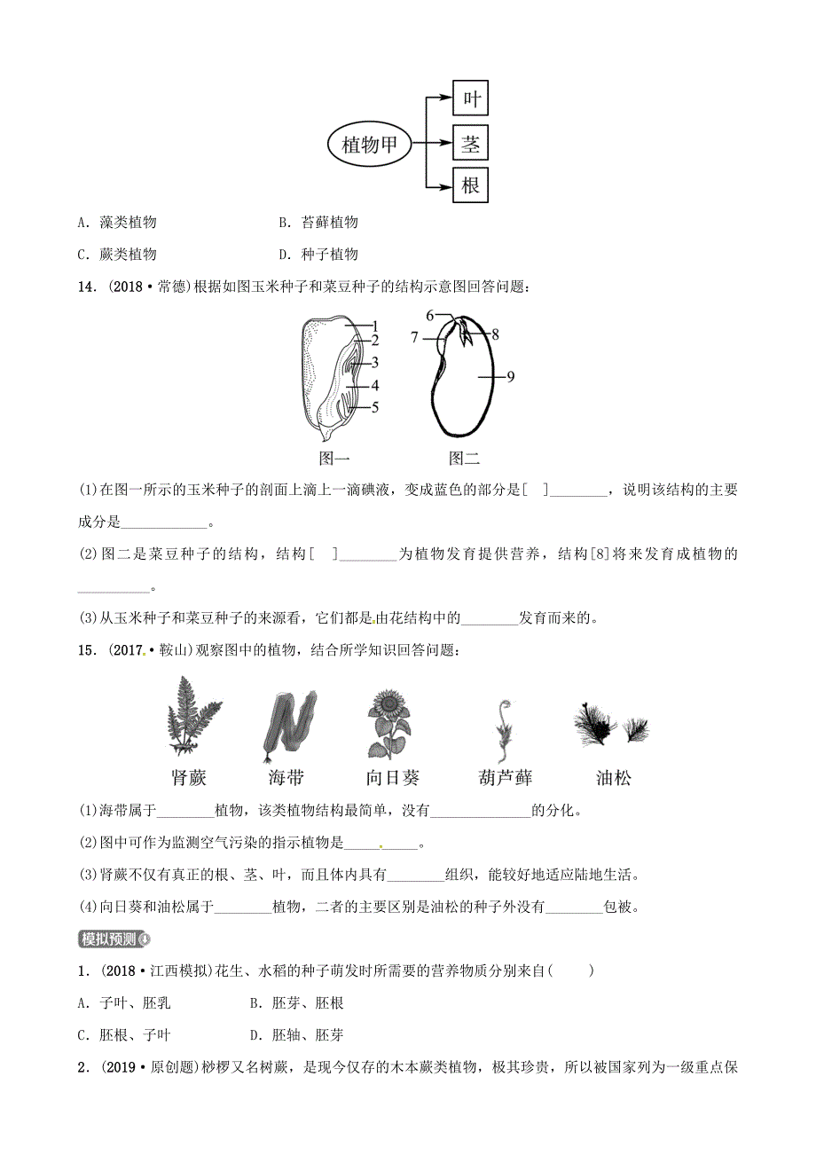 江西专版2019中考生物第1部分第三单元第一章生物圈中有哪些绿色植物复习真题模拟实训_第3页