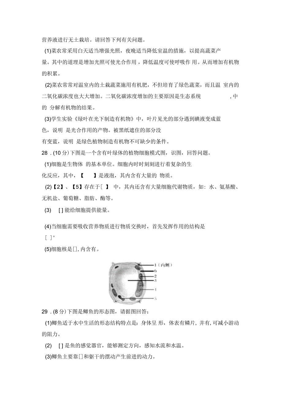 冀少版七年级生物上册期末试卷1_第5页