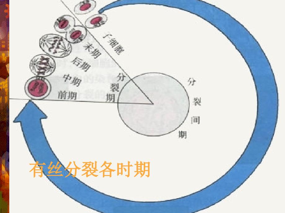 环境三致物的生物检测_第4页