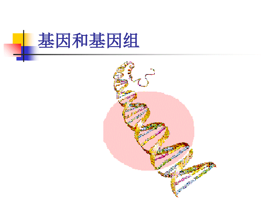 医学分子生物学基因组_第2页