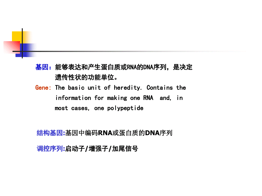 医学分子生物学基因组_第4页