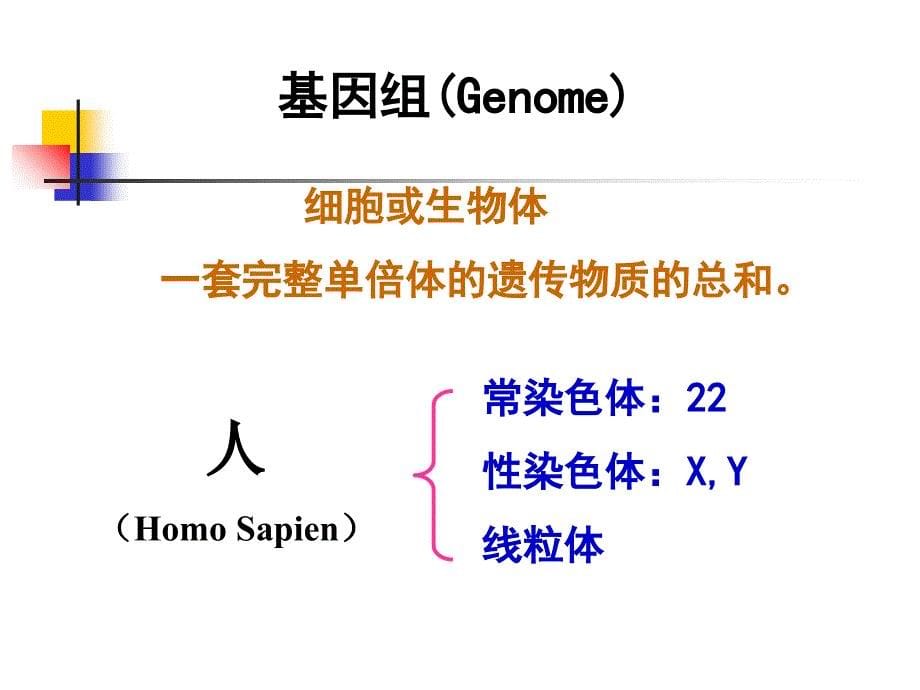 医学分子生物学基因组_第5页