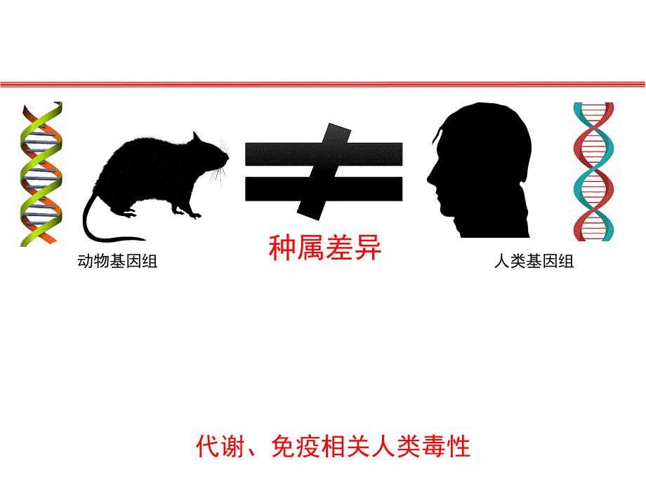 基因修饰在人源化肝脏小鼠建模中的应用_第3页