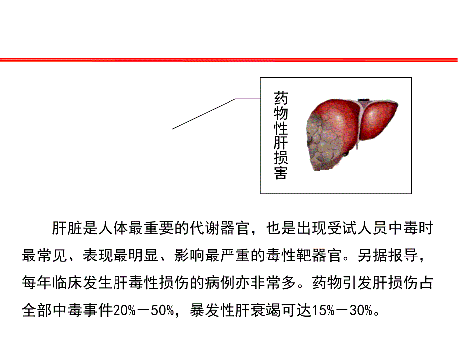 基因修饰在人源化肝脏小鼠建模中的应用_第4页