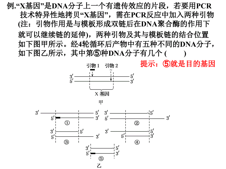 利用PCR技术获取并扩增目的基因_第3页