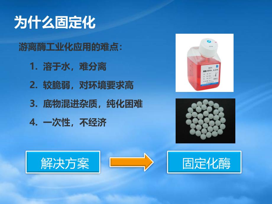 酶工程3-1(PPT87页)_第4页