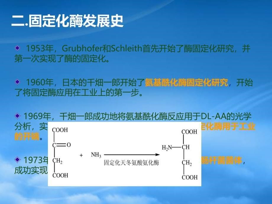 酶工程3-1(PPT87页)_第5页