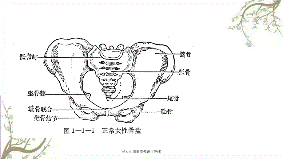 妇女生殖健康知识讲座4课件_第4页