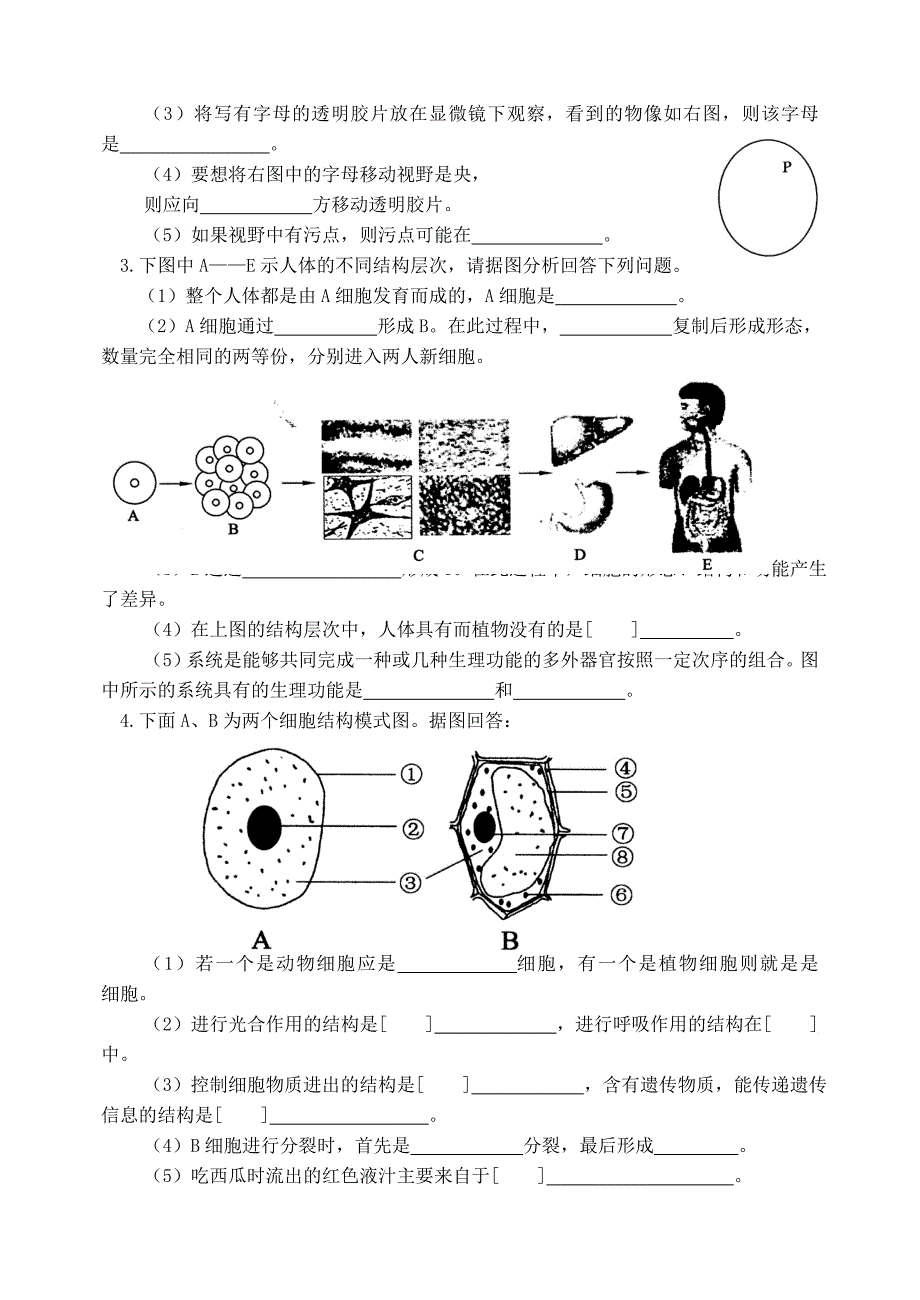 七年级生物第一学期第一次月考济南版_第4页