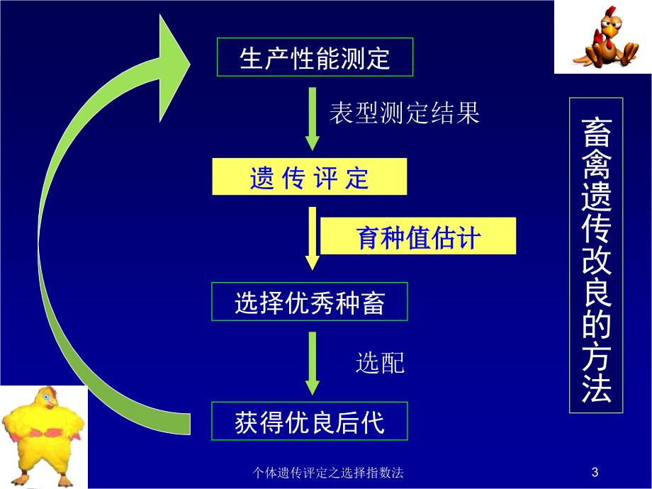 个体遗传评定之选择指数法课件_第3页