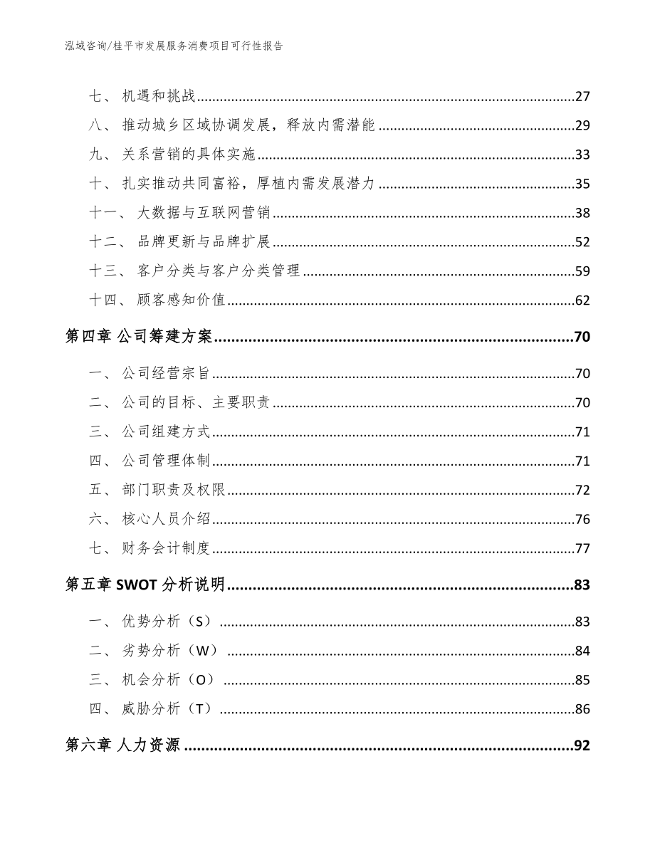 桂平市发展服务消费项目可行性报告（模板范本）_第3页