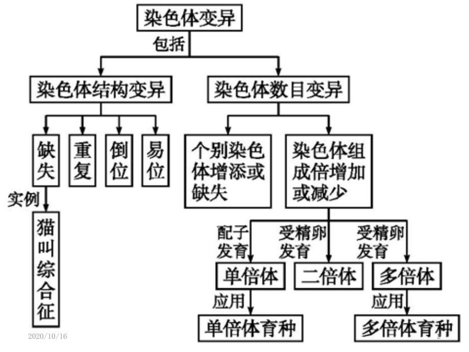 一轮复习染色体变异与育种解析PPT教学课件_第2页