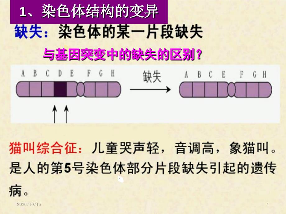 一轮复习染色体变异与育种解析PPT教学课件_第4页