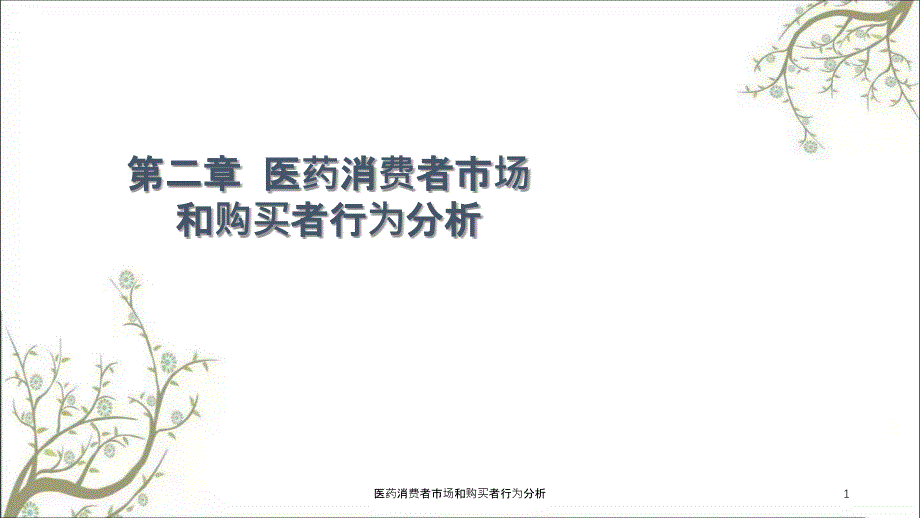 医药消费者市场和购买者行为分析课件_第1页